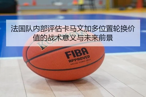 法国队内部评估卡马文加多位置轮换价值的战术意义与未来前景 - leyu